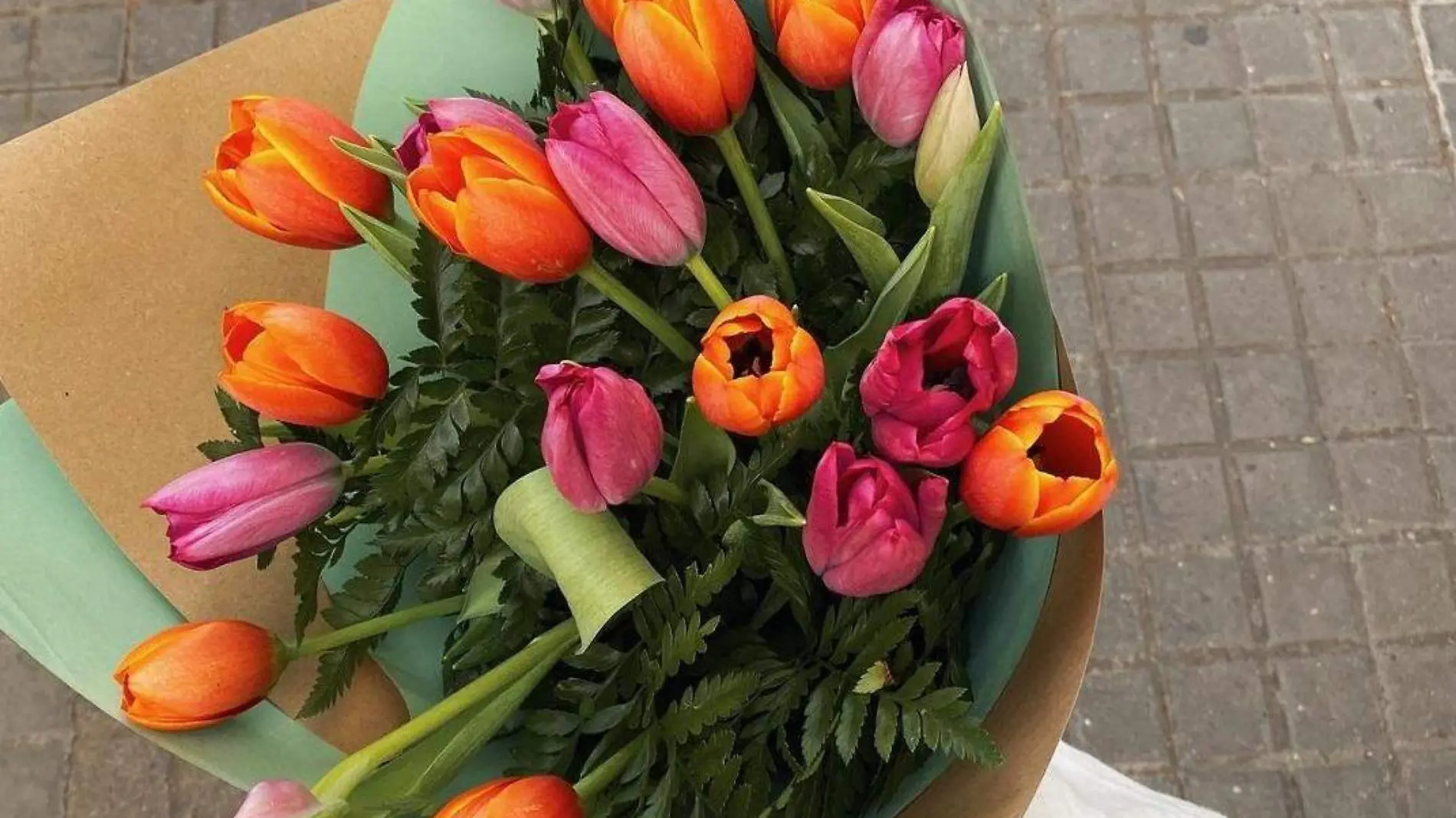 tulipanes  (2)